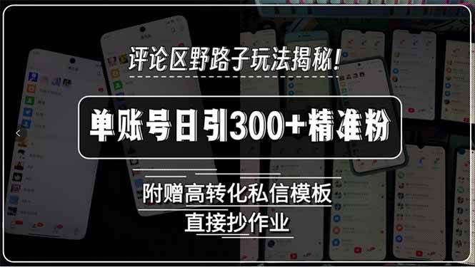 （15466期）评论区野路子玩法揭秘！单账号日引300+精准粉，附赠高转化私信模板，直…-KAI的视界