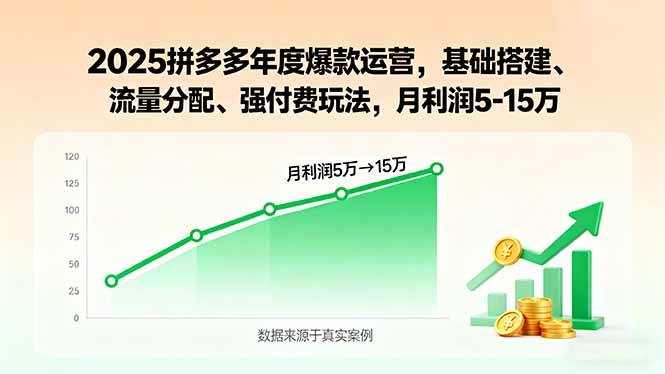 （15973期）2025拼多多年度爆款运营，基础搭建、流量分配、强付费玩法，月利润5-15万-KAI的视界