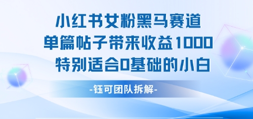 小红书女粉黑马赛道单篇帖子带来收益1k+，特别适合0基础的小白-KAI的视界