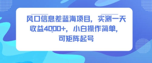 风口信息差蓝海项目，实测一天收益4k+，小白操作简单，可矩阵起号-KAI的视界