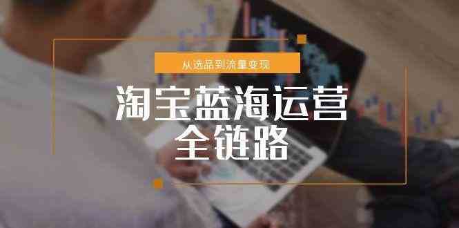 淘宝蓝海运营全链路，从选品到流量变现，小类目突围完整方案-KAI的视界