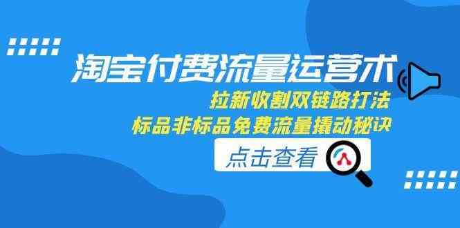 淘宝付费流量运营术，拉新收割双链路打法，标品非标品免费流量撬动秘诀-KAI的视界