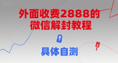 （15301期）外面收费2888的微信解封教程，具体自测-KAI的视界