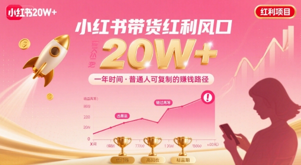 一年时间靠小红书带货项目年入20w+，最不能错的大红利项目-KAI的视界