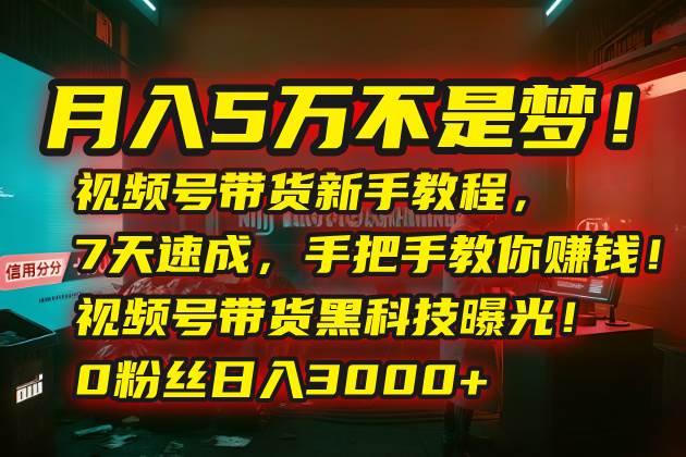 （15595期）月入5万不是梦！视频号带货新手教程，7天速成，手把手教你赚钱！视频号…-KAI的视界