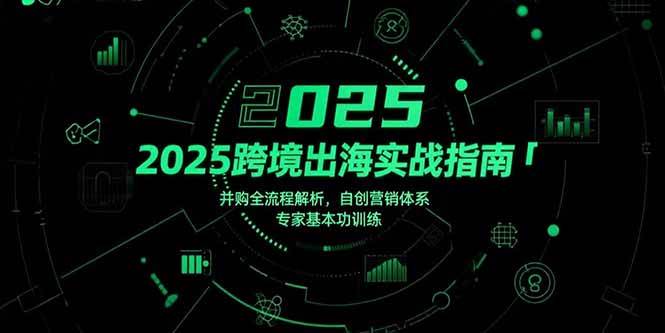 （15503期）2025跨境出海实战指南，并购全流程解析，自创营销体系，专家基本功训练-KAI的视界