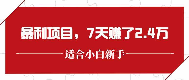 （15228期）最新暴利项目，每单收益轻松在300以上，7天赚了2.4万-KAI的视界