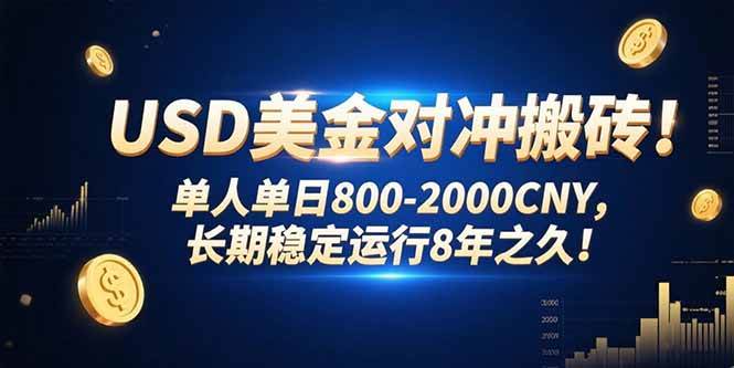 （15551期）USD美金对冲搬砖!单人单日800-2000CNY，长期稳定运行8年之久!-KAI的视界