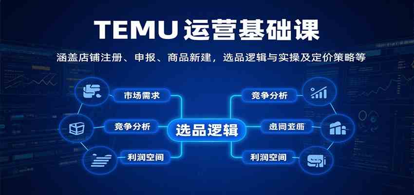 TEMU运营基础课：涵盖店铺注册、申报、商品新建，选品逻辑与实操及定价策略等-KAI的视界