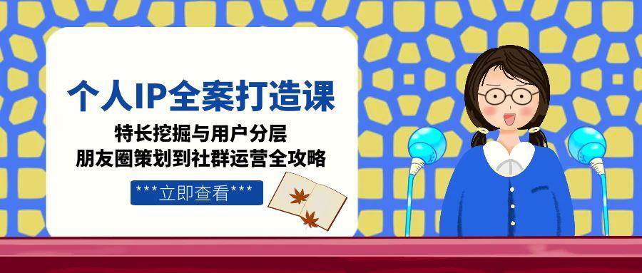个人IP全案打造课，特长挖掘与用户分层，朋友圈策划到社群运营全攻略-KAI的视界