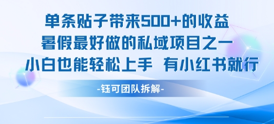 单条贴子带来5张的收益，暑假最好做的私域项目之一，小白也能轻松上手，有小红书就行-KAI的视界