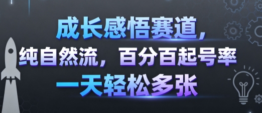 成长感悟赛道，纯自然流，百分百起号率 一天轻松多张-KAI的视界