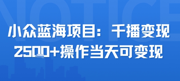 小众蓝海项目，千播变现2.5k+操作当天可变现-KAI的视界