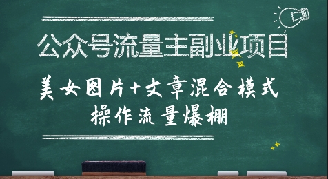 公众号流量主副业项目，美女图片+文章混合模式操作流量爆棚-KAI的视界