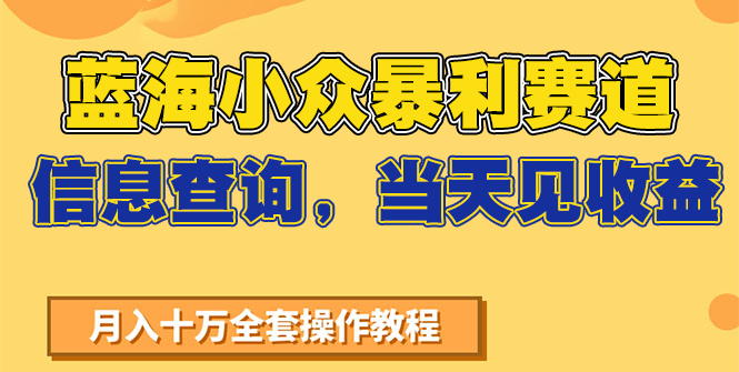 蓝海小众暴利赛道，信息查询，当天见收益，不讲玄学，7天搞了2万+-KAI的视界