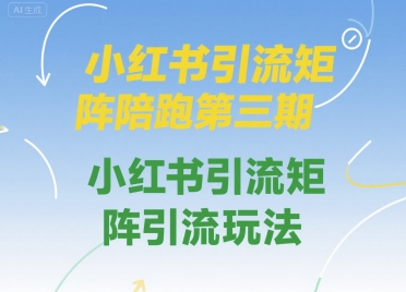 小红书引流矩阵陪跑第三期，小红书引流矩阵引流玩法-KAI的视界