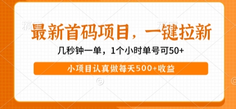 最新首码项目，操作最简单，收益高，一键拉新，1个小时单号可50+，小项目认真做每天5张+收益【揭秘】-KAI的视界