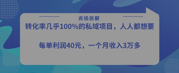 转化率最高的私域项目，每单利润40-50米，月入过1w-KAI的视界