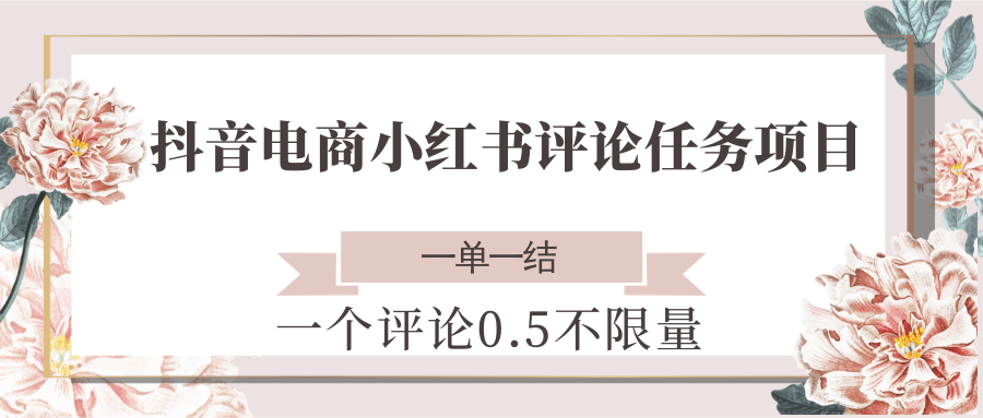 抖音电商小红书评论任务项目，一个评论0.5，一单一结 不限量-KAI的视界