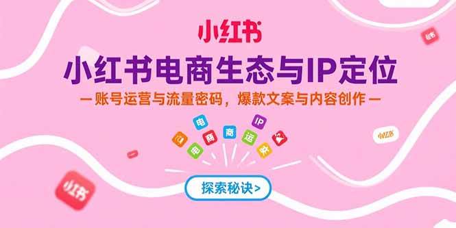 （15350期）小红书电商生态与IP定位，账号运营与流量密码，爆款文案与内容创作-KAI的视界
