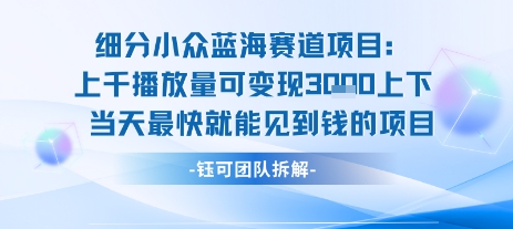 小众蓝海赛道项目：当天变现1k+适合新手操作 +适合长期玩-KAI的视界