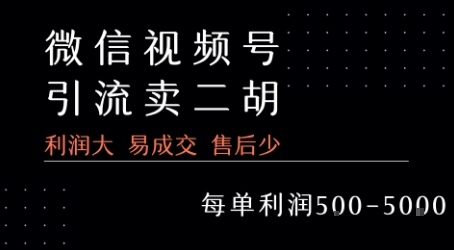 视频号卖二胡教程，利润大 易成交 售后少，一单利润5张+-KAI的视界