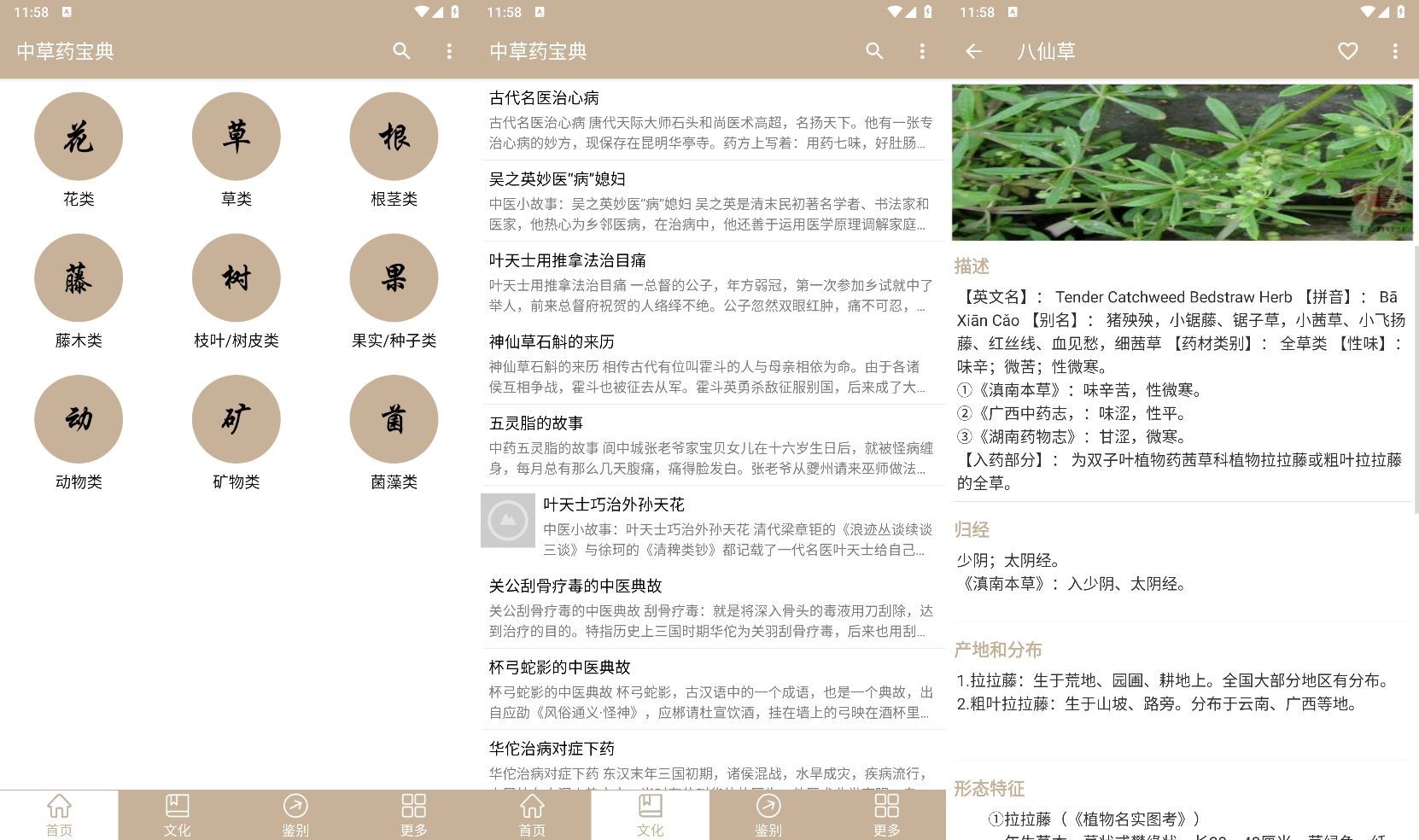 安卓中草药宝典v2.6.12纯净版-KAI的视界