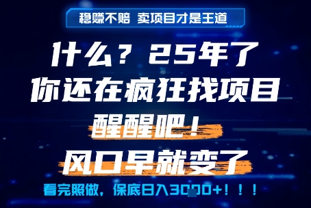 什么？25年你还在疯狂找项目做，醒醒吧，看完这些你全都懂了！【揭秘】-KAI的视界
