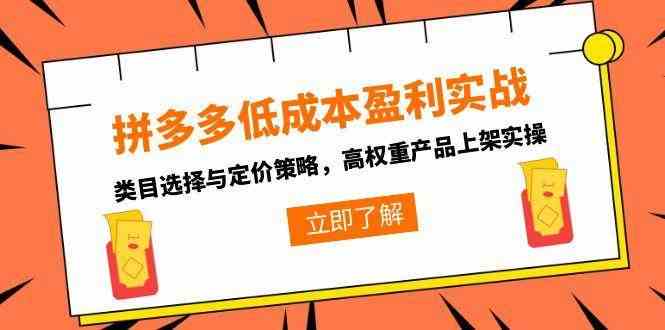 拼多多低成本盈利实战，类目选择与定价策略，高权重产品上架实操-KAI的视界