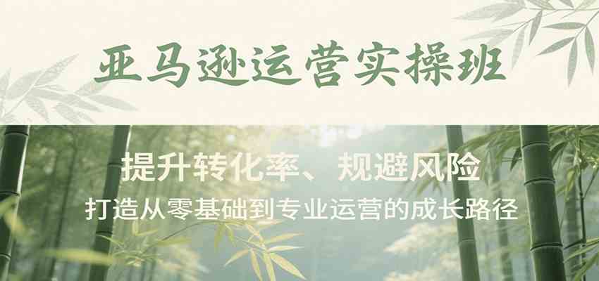 亚马逊运营实操班，提升转化率、规避风险，打造从零基础到专业运营的成长路径-KAI的视界