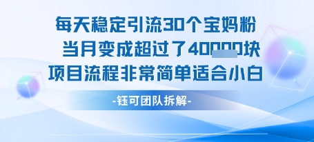 每天稳定引流30个人 当月变成超过了4个W项目流程非常简单适合小白-KAI的视界