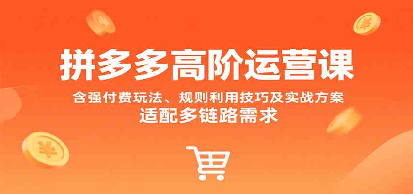 拼多多高阶运营课，含强付费玩法、规则利用技巧及实战方案，适配多链路需求-KAI的视界