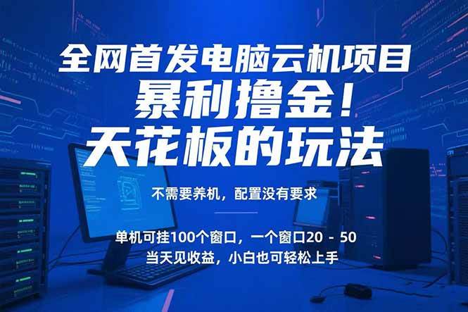 （15323期）电脑云机项目 暴力撸金玩法，不需要养机 配置没有要求 单机100个窗口一…-KAI的视界