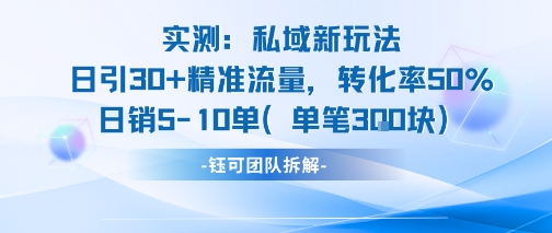 实测私域新玩法日引30加精准流量转化率50%日销5-10单每笔3张-KAI的视界