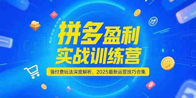拼多多盈利实战训练营，强付费玩法深度解析，2025最新运营技巧合集-KAI的视界