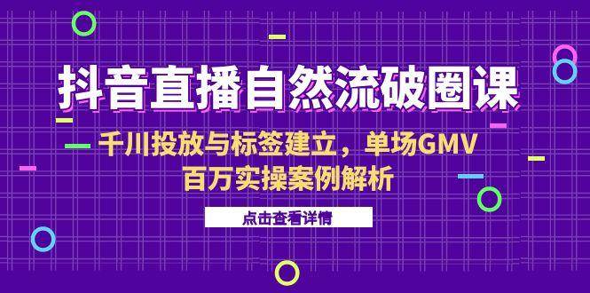 （15136期）抖音直播自然流破圈课-6月，千川投放与标签建立，单场GMV百万实操案例解析-KAI的视界
