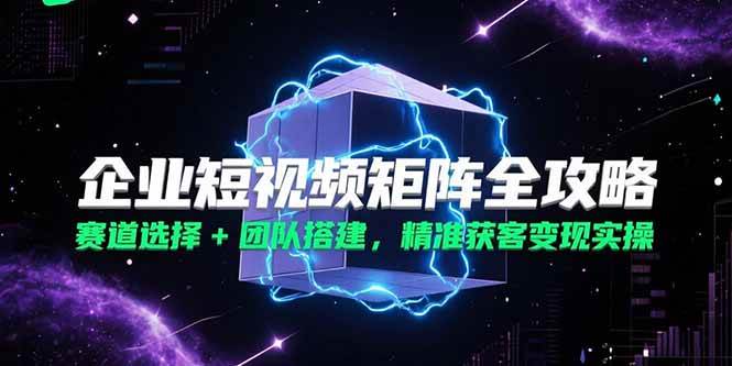 （15242期）企业短视频矩阵全攻略，赛道选择+团队搭建，精准获客变现实操-KAI的视界