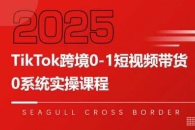 TikTok跨境0-1短视频带货，系统拆解TikTok跨境带货全链路，实现跨境可持续盈利-KAI的视界