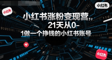 小红书涨粉变现营，21天从0-1做一个挣钱的小红书账号-KAI的视界