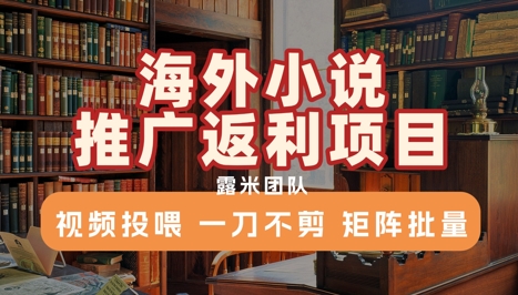 海外小说推广返利项目，视频投喂， 一刀不剪，矩阵批量-KAI的视界