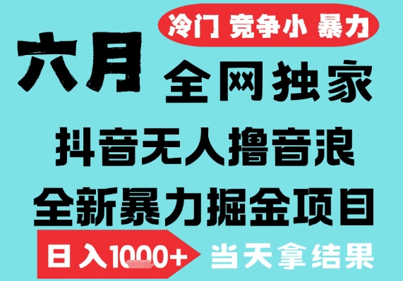 2025年6月高爆抖音无人直播最新撸音浪掘金项目，无脑日入1k+，低门槛小白可做，可矩阵放大【揭秘】-KAI的视界