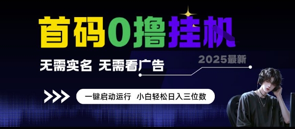 首码0撸挂G项目，无需实名无需看广告 一键启动运行，小白轻松日入三位数【揭秘】-KAI的视界