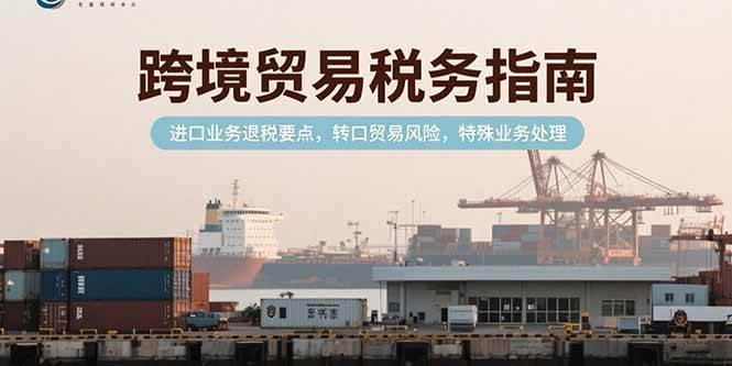 （15381期）跨境贸易税务指南，进口业务退税要点，转口贸易风险，特殊业务处理-KAI的视界