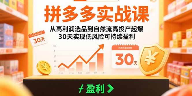 （15586期）拼多多实战课：从高利润选品到自然流高投产起爆 30天实现低风险可持续盈利-KAI的视界