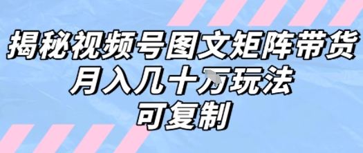 解密视频号图文矩阵带货，月入几个W的打法，可复制-KAI的视界