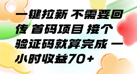 一键拉新 不需要回传 首码项目 接个验证码就算完成 一小时收益70+【揭秘】-KAI的视界