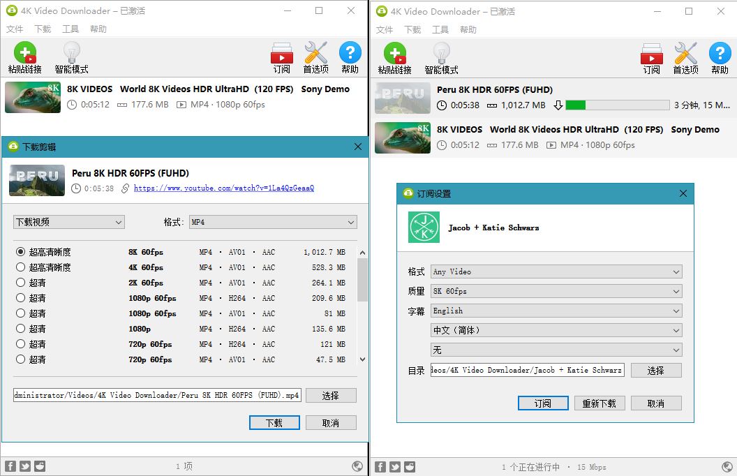 4K Video Downloader v4.33.2.0164-KAI的视界