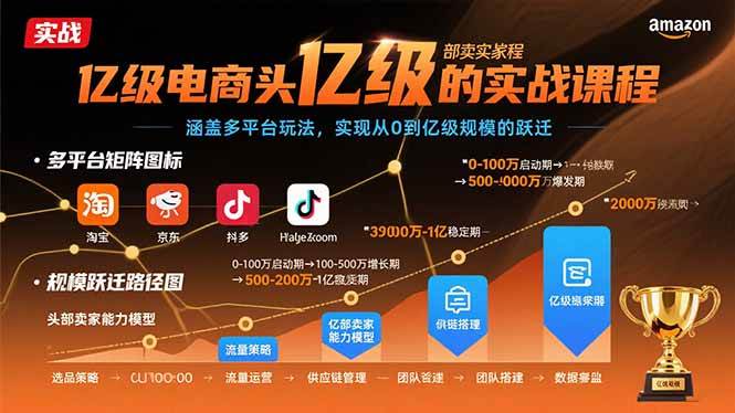 （15803期）亿级电商头部卖家的实战课程：涵盖多平台玩法，实现从0到亿级规模的跃迁-KAI的视界