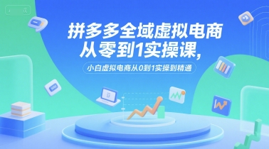 拼多多全域虚拟电商从零到1实操课，小白虚拟电商从0到1实操到精通-KAI的视界