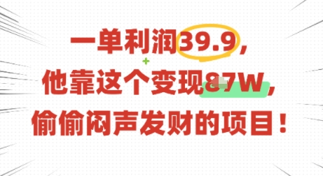 一单利润39.9，有人靠这个变现几十个，偷偷闷声发财的项目-KAI的视界